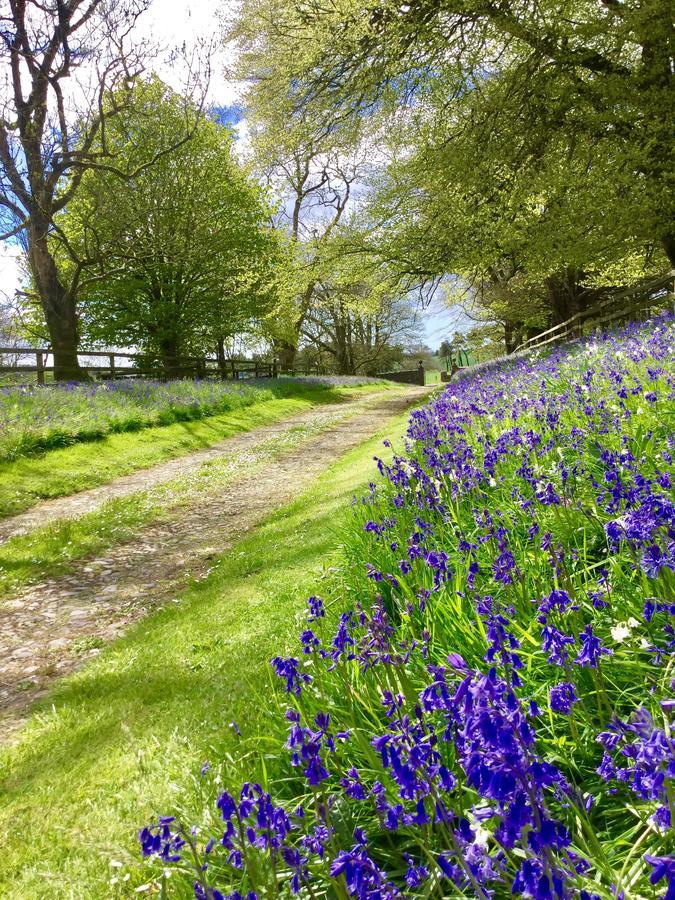 Willowhill House Minane Bridge Dış mekan fotoğraf