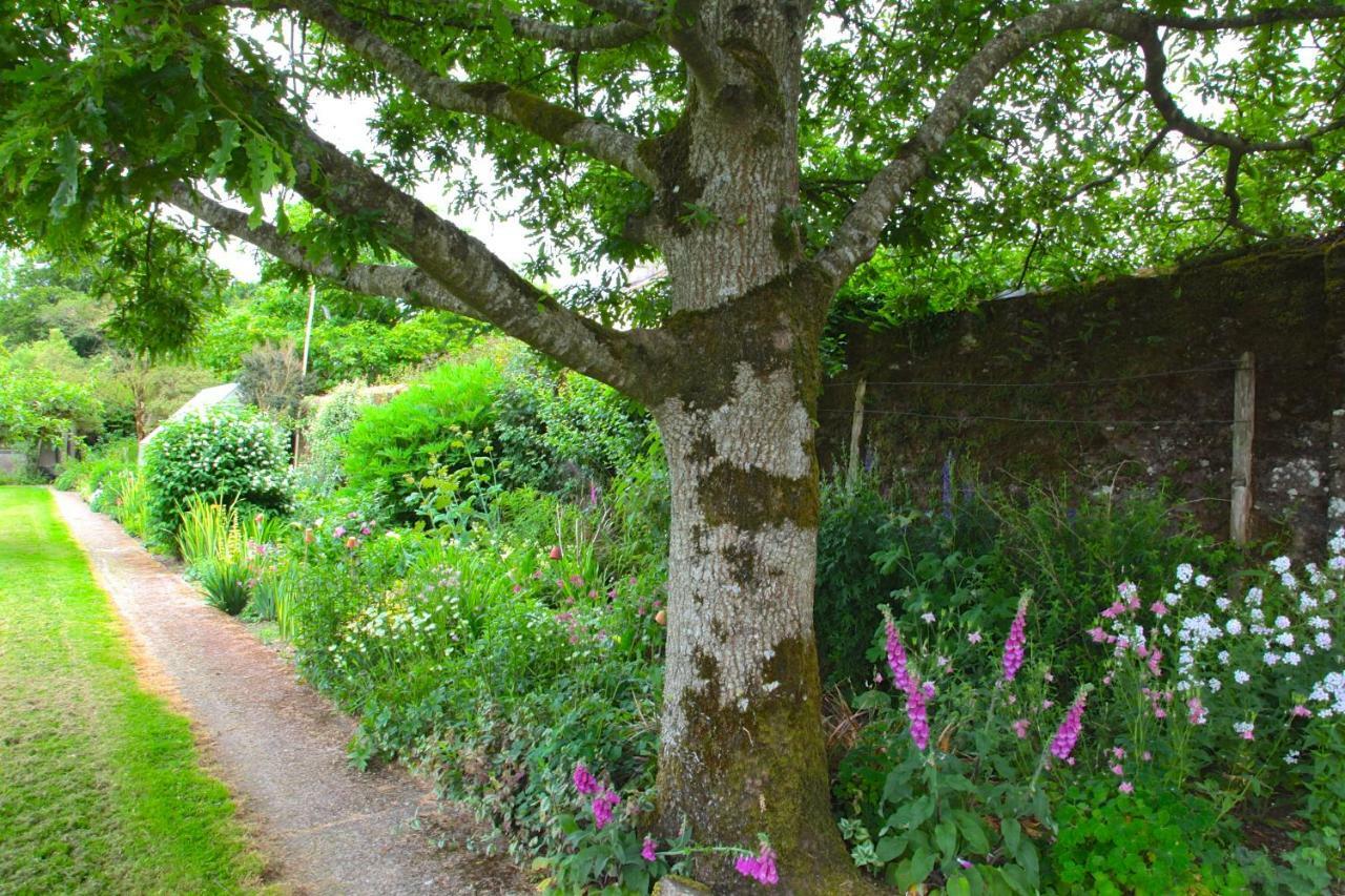 Willowhill House Minane Bridge Dış mekan fotoğraf